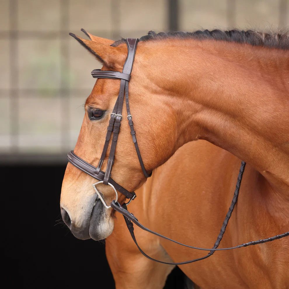 SHIRES EQUESTRIAN - Bridle Avignon Wellington Havana, Size: Full, Couleur: Havana