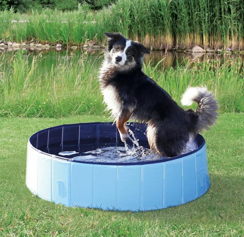 GOO-EEZ - Foldable &amp; Portable Pet Pool