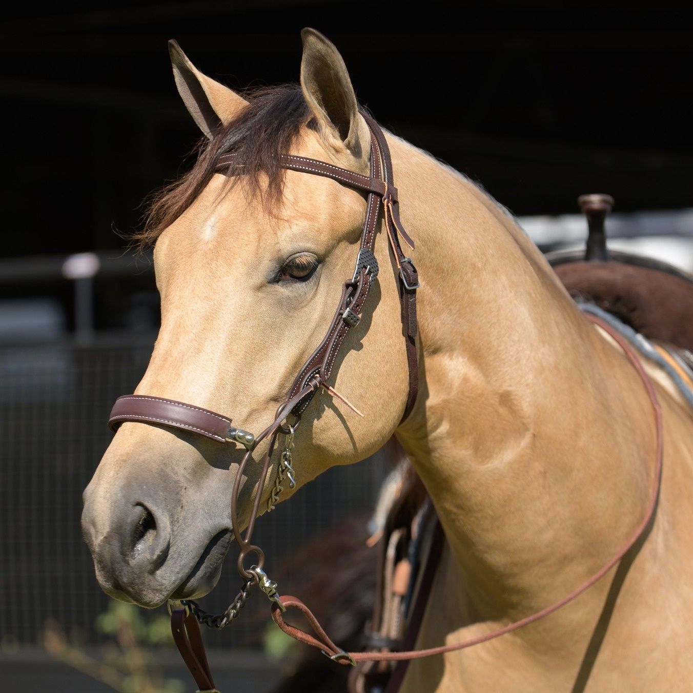 Fer à cheval ancien | Kaufen auf Ricardo