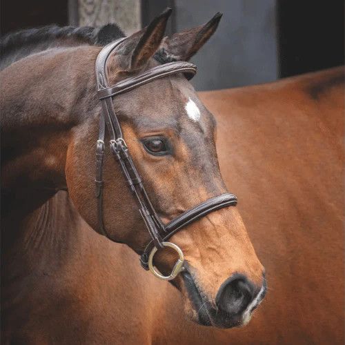 VELOCITI LUSSO - Hunter Bridle Cavesson Havana, Size: Cob, Couleur: Havana