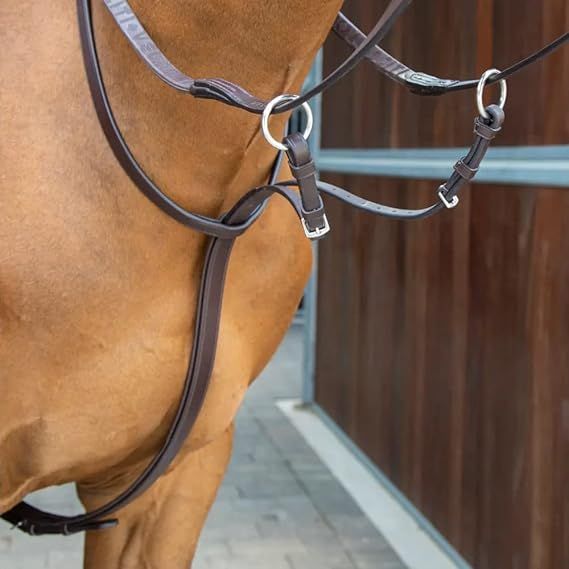 VELOCITI LUSSO - Running Martingale, Size: Cob, Couleur: Havana