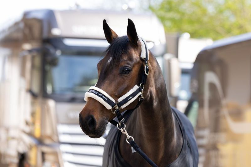 ESKADRON - Black Double Pin Faux Fur Halter