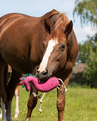 QHP - Toy for Horses Unicorn
