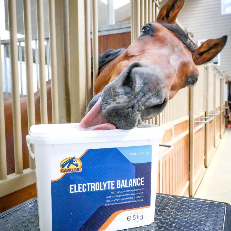 CAVALOR - Electrolyte Balance