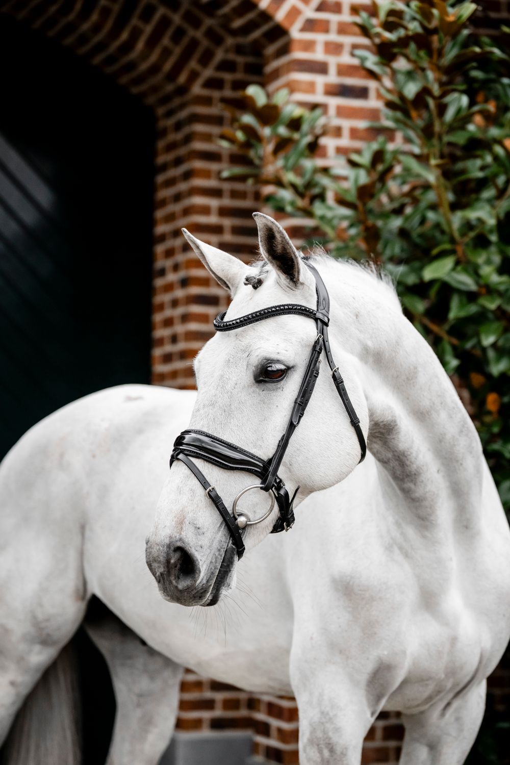 HORSEWARE - Diamante Flash Bridle Black/Black