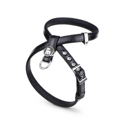 MYFAMILY - Black Saint Tropez X-Harness