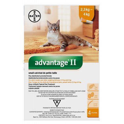 ELANCO - Traitement Topique Advantage II Contre les Puces pour Chat, Type: 2.3kg à 4kg, Format: 4 doses