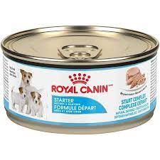 ROYAL CANIN - Canine Health Nutritionâ„¢ Starter Mousse Canned Dog Food, Format: 145g