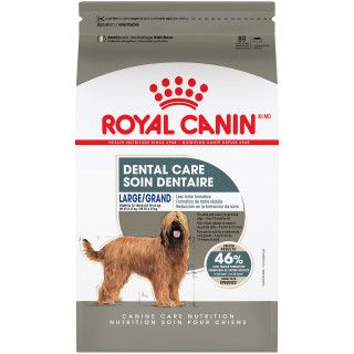 ROYAL CANIN - Canine Care Nutritionâ„¢ Large Dental Care Dry Dog Food, Format: 13.6kg
