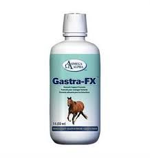 OMEGA ALPHA - Gastra-FX, Format: 1L