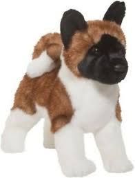 DOUGLAS - Kita Akita Inu, Colour: Tricolore