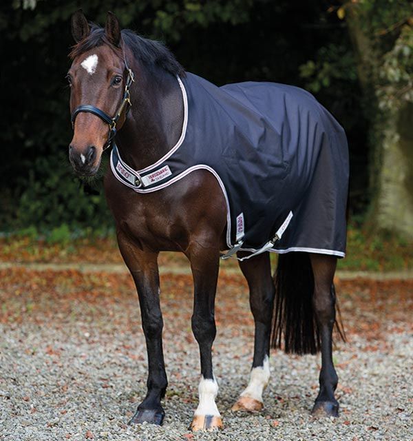 HORSEWARE - Amigo Walker, Color: Navy/Navy, Size: Medium