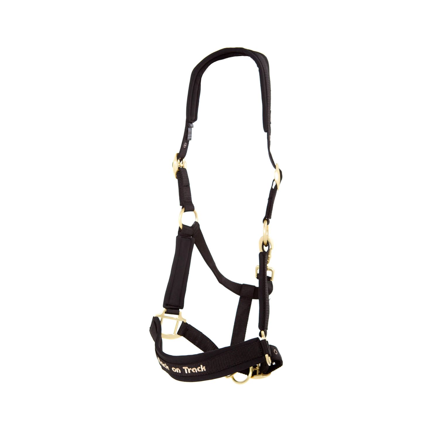 BACK ON TRACK - PP Werano Raven Black Halter, Size: Full