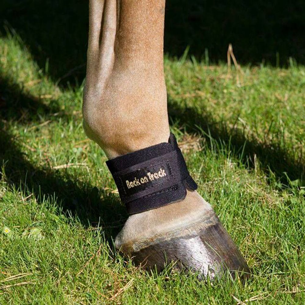 BACK ON TRACK - Pastern Wrap, Size: Small