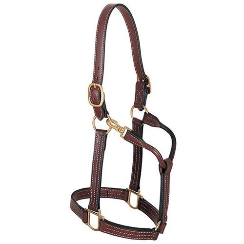WEAVER - Thoroughbred 1&#39;&#39; Halter with Snap, Color: Mahogany, Size: Cob