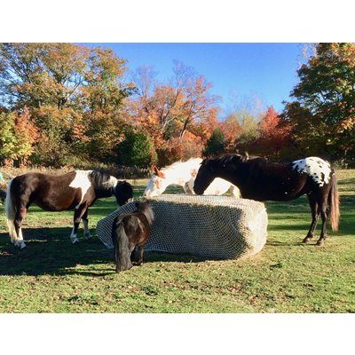 SLOW BALE BUDDY - Hay Net for Square Bales, Format: 4&#39; x  8&#39;