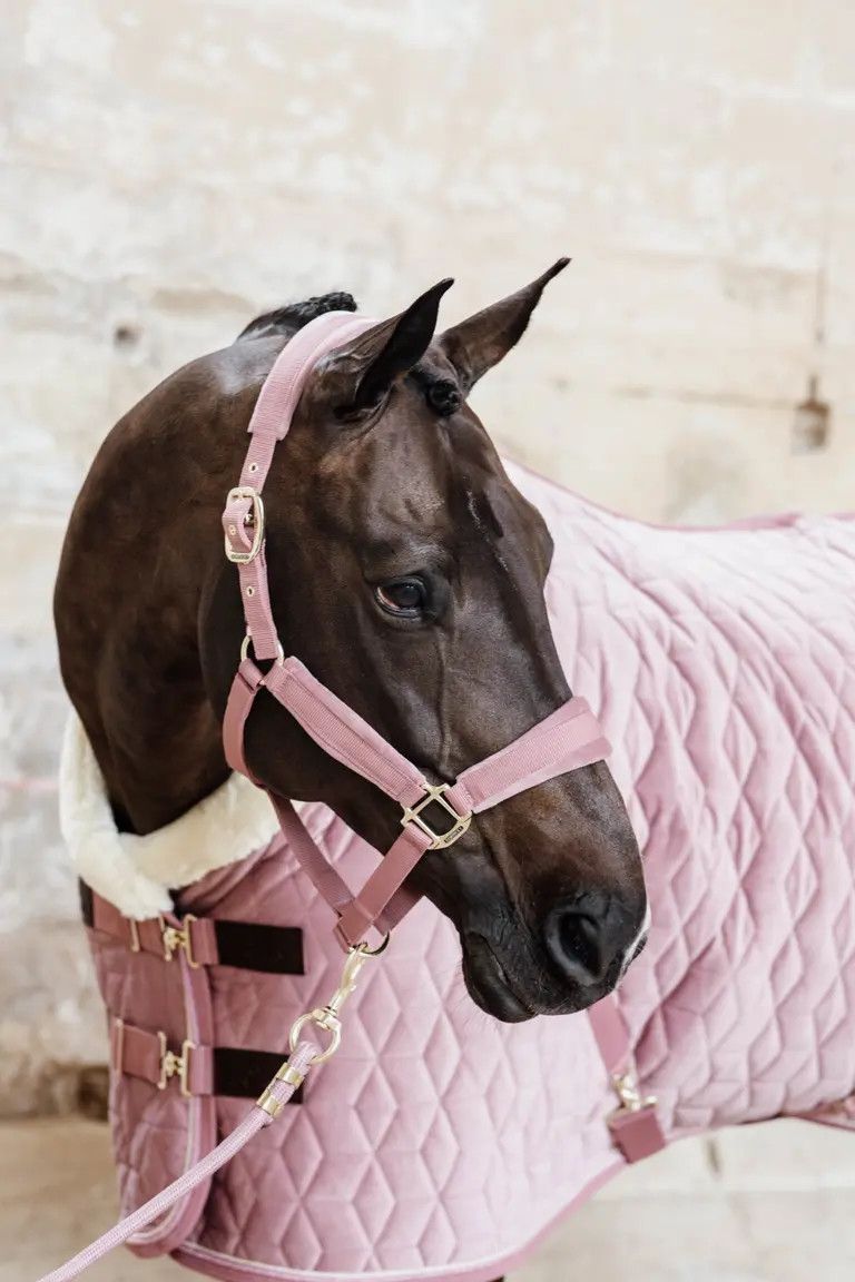 KENTUCKY HORSEWEAR - Laisse Basic Rope Old Rose, Size: 200cm