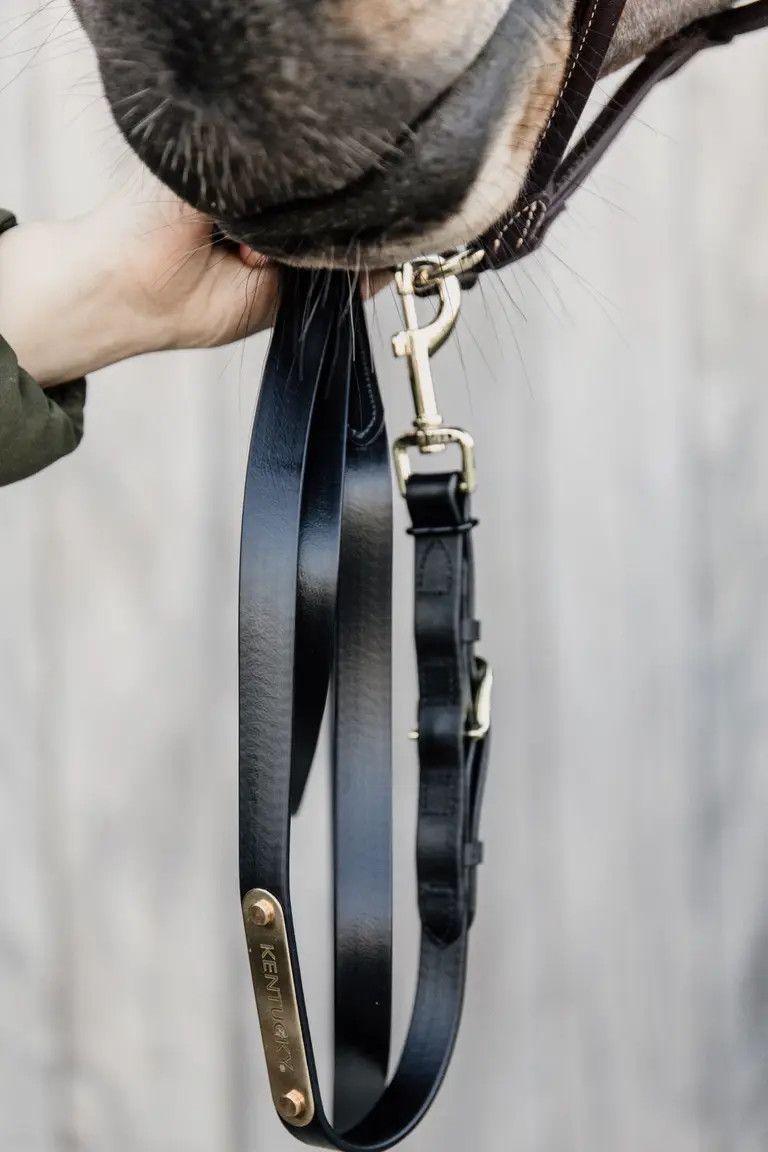 KENTUCKY HORSEWEAR - Black Presentation Lead, Size: 200cm