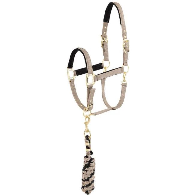 ANKY - Fungi Halter and Lead Kit, Size: Cob