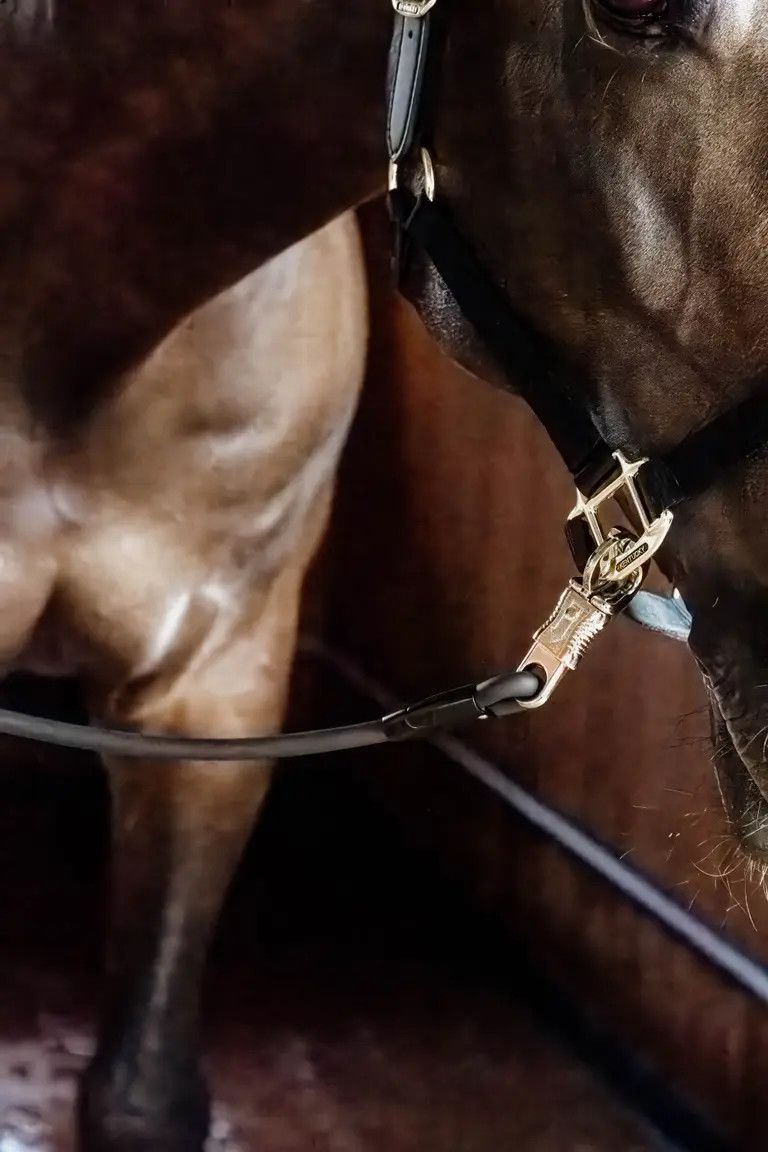KENTUCKY HORSEWEAR - Horse Box Lead &amp; Cross Ties Silicone, Color: Noir, Size: 120 cm
