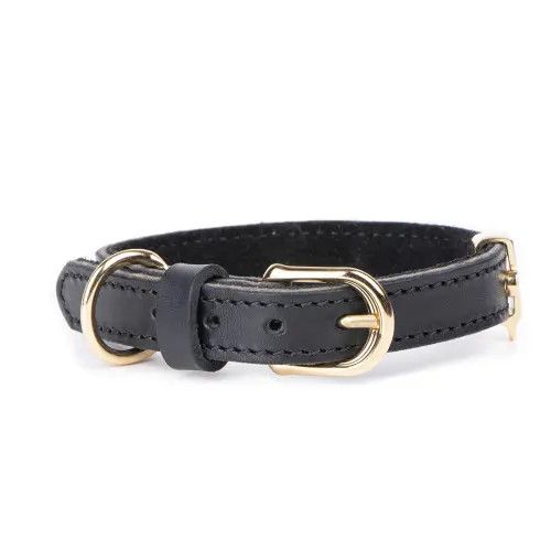 MYFAMILY - Black Ginevra Collar in Leather with Gold Finishes, Size: Small
