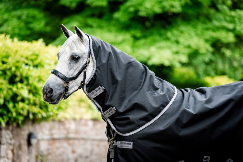HORSEWARE - Amigo Bravo 12 Original Hood (150g) Black