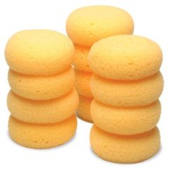 CAN PRO - Leather Sponge, Format: Unité