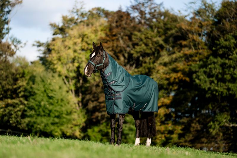 HORSEWARE - Amigo Ripstop Hood 900D 150G Dynasty Green/Navy/Silver