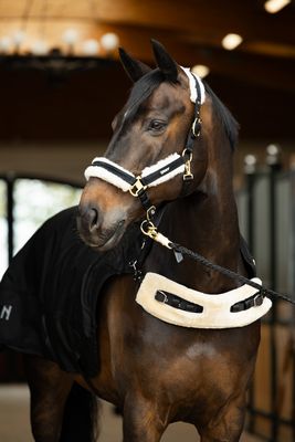 ESKADRON - Walker Rug Delta II Black