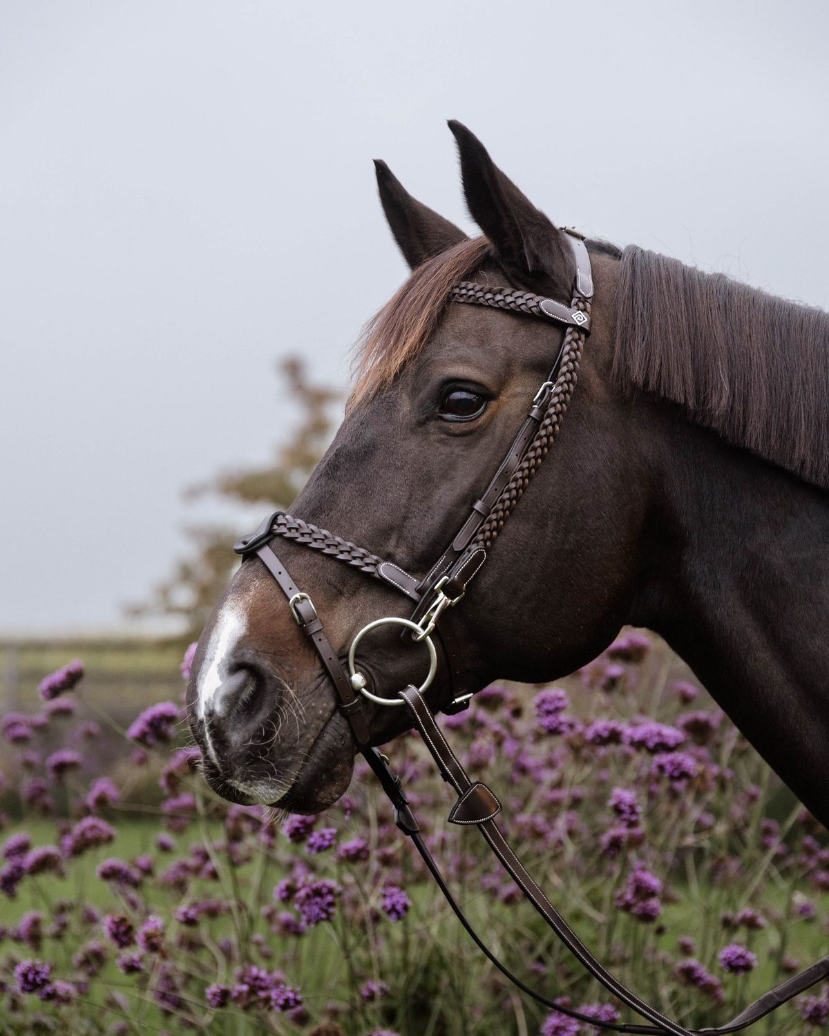 DY&#39;ON - Bridle Plaited Training, Size: Full, Color: Brun