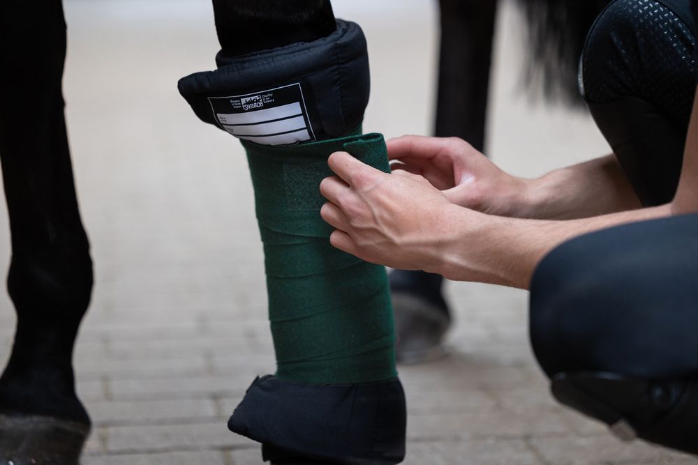 Bandes D'entraînement Eskadron Climax Pour Chevaux - Occasion, Wraps En Très Bon état