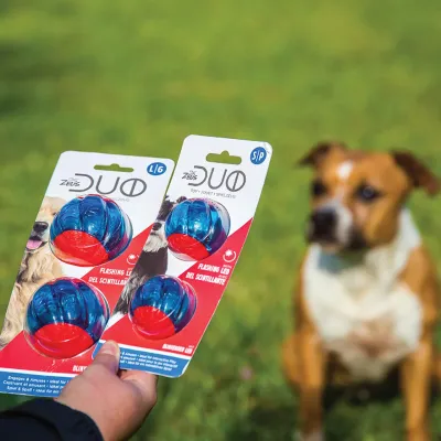 ZEUS - DUO Ball Dog Toy with Squeaker