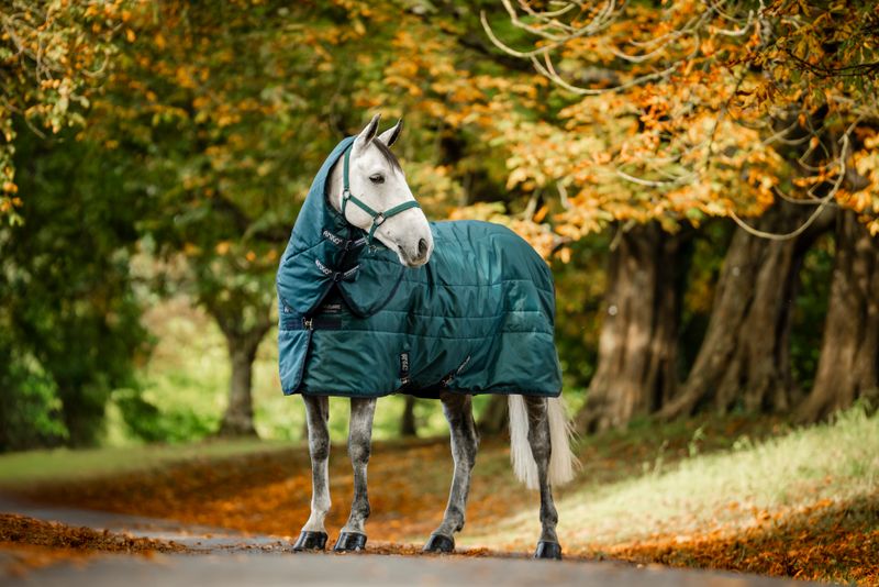 HORSEWARE -  Amigo Ripstop Insulator Stable Hood Dynasty Green/Navy &amp; Silver