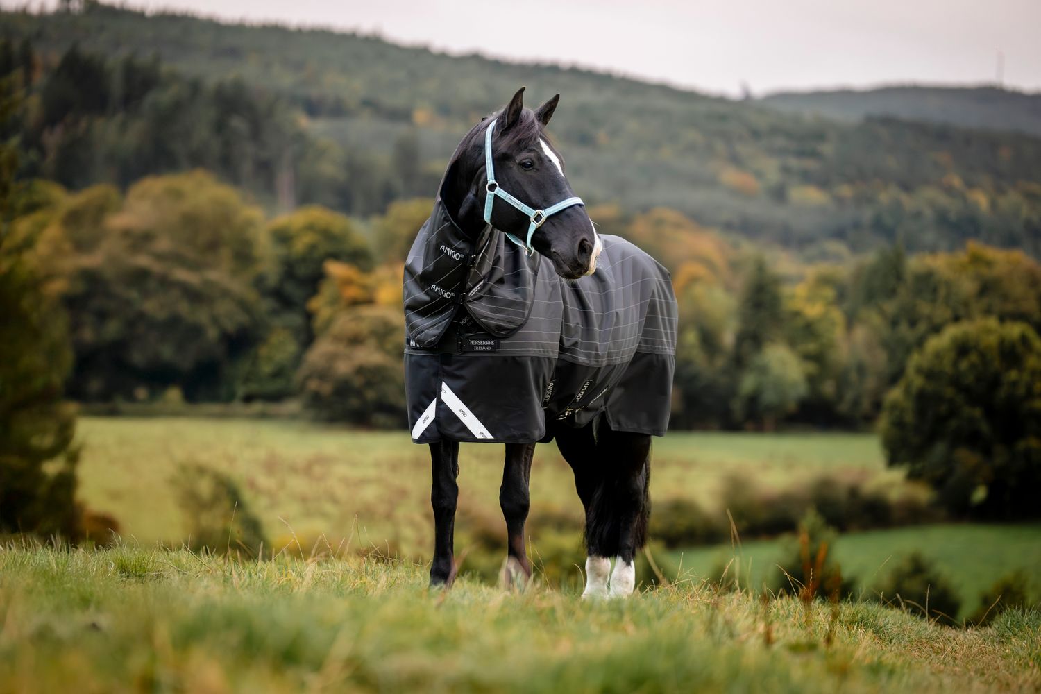 HORSEWARE - Amigo Fieldsafe Reflectech Plus 1200D 250g Outdoor Blanket