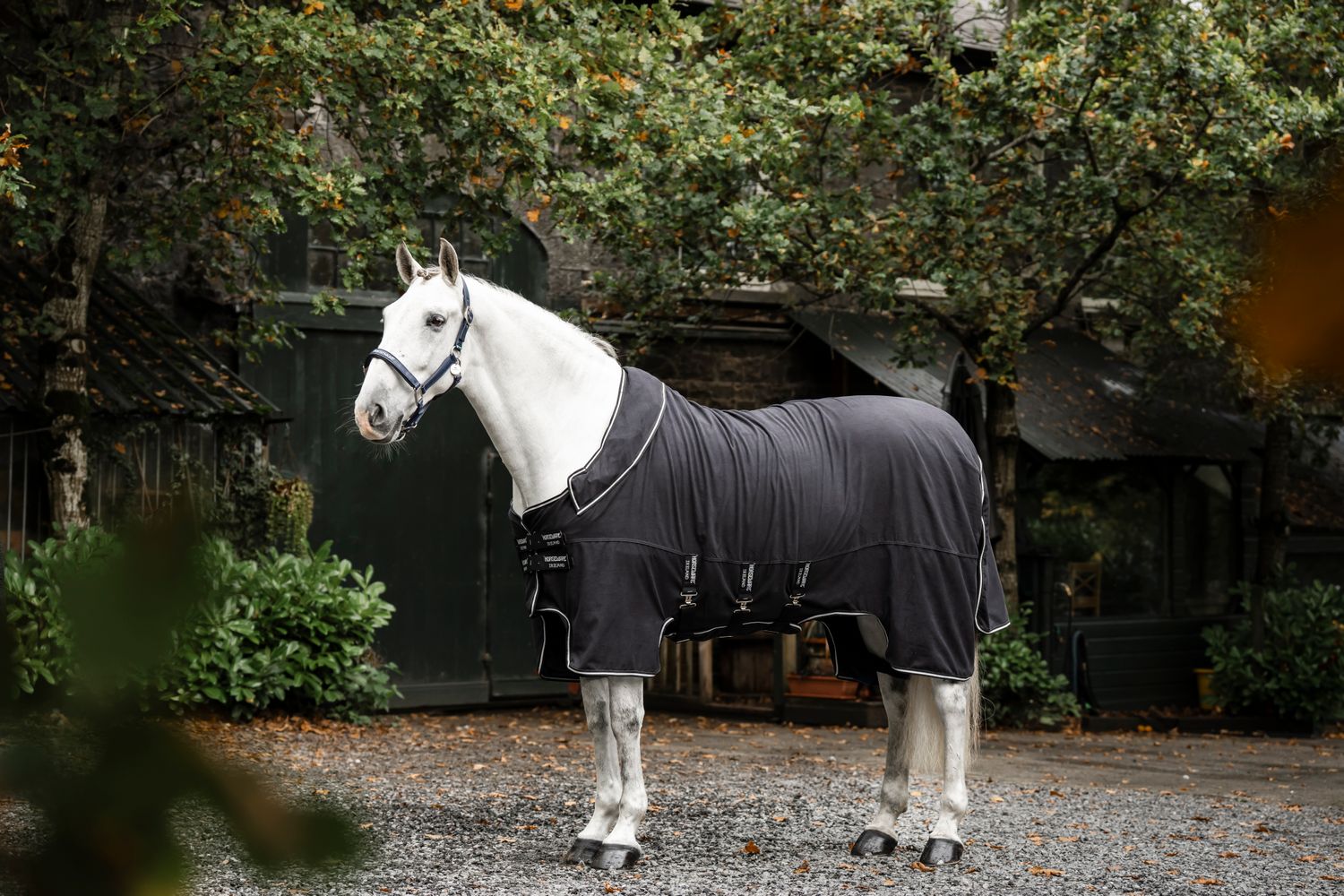 HORSEWARE - Show  Ready Rug Black/Black/Silver