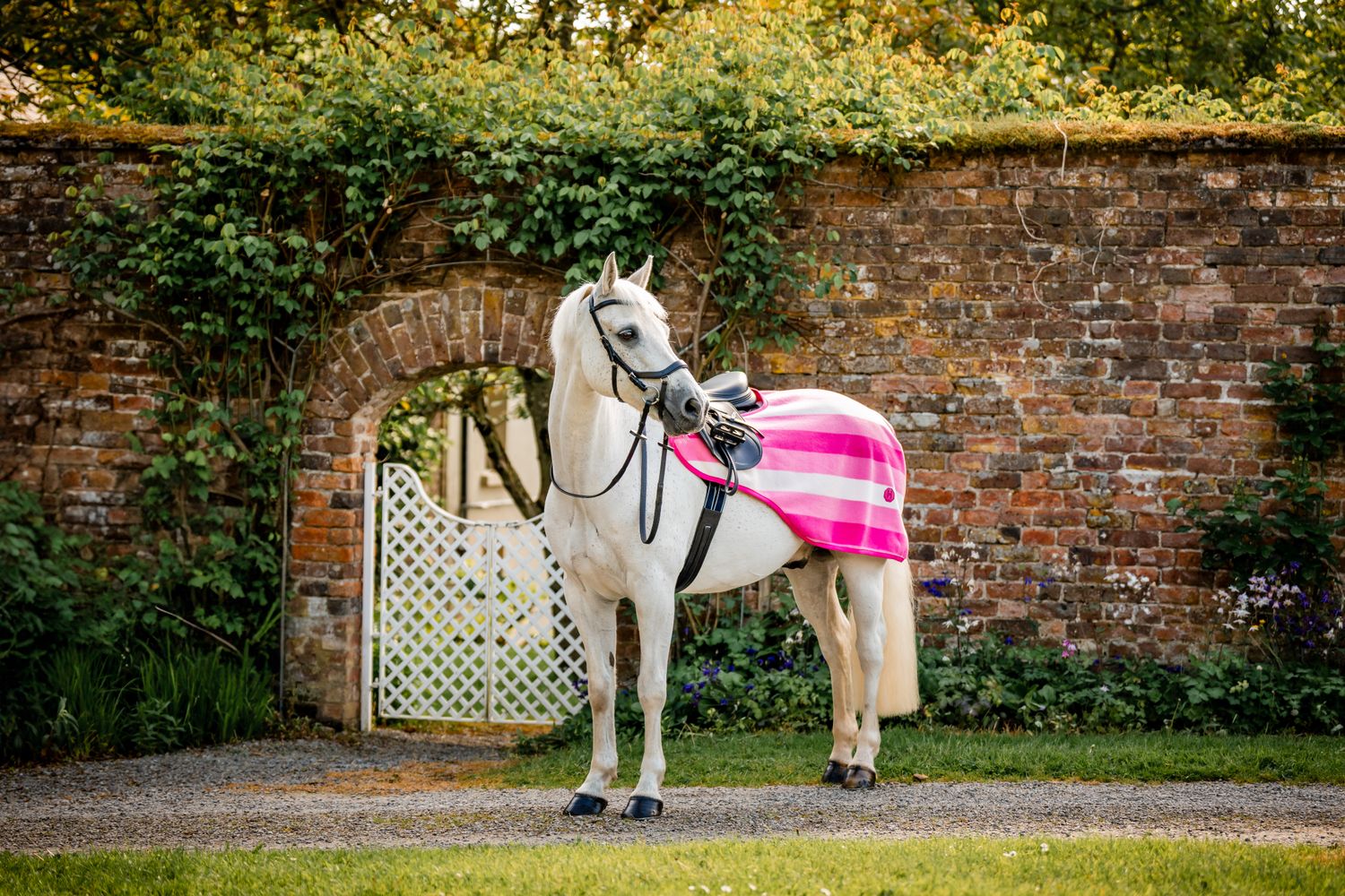 HORSEWARE - Couvre rein Newmarket Witney Pink