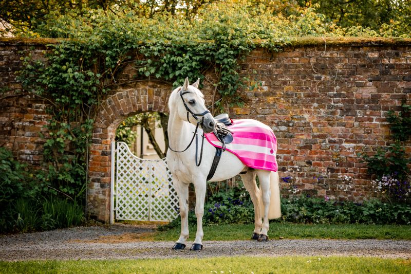 HORSEWARE - Couvre rein Newmarket Witney Pink