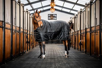 HORSEWARE - Amigo Diamond Insulator 100G Lite