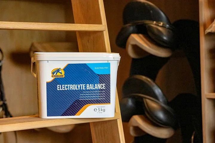 CAVALOR - Electrolyte Balance, Size: 5kg