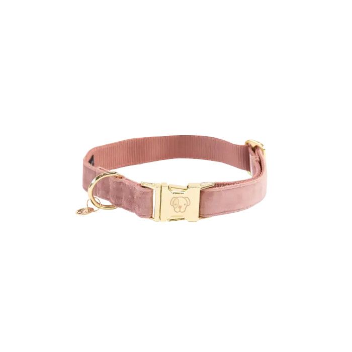 KENTUCKY DOGWEAR - Dog Old Rose Collar Velvet, Size: XXSmall