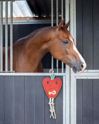 QHP - Horse Toy Apple