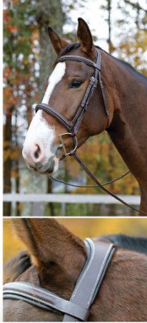 SHIRES - Ocala Avignon Bridle, Color: Havana, Size: Poney