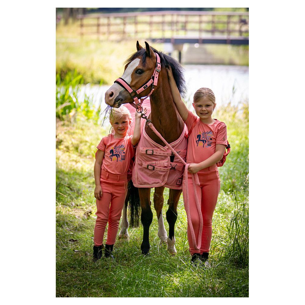 BR EQUESTRIAN - Halter with Lead Rope for Mini Peach Blossom