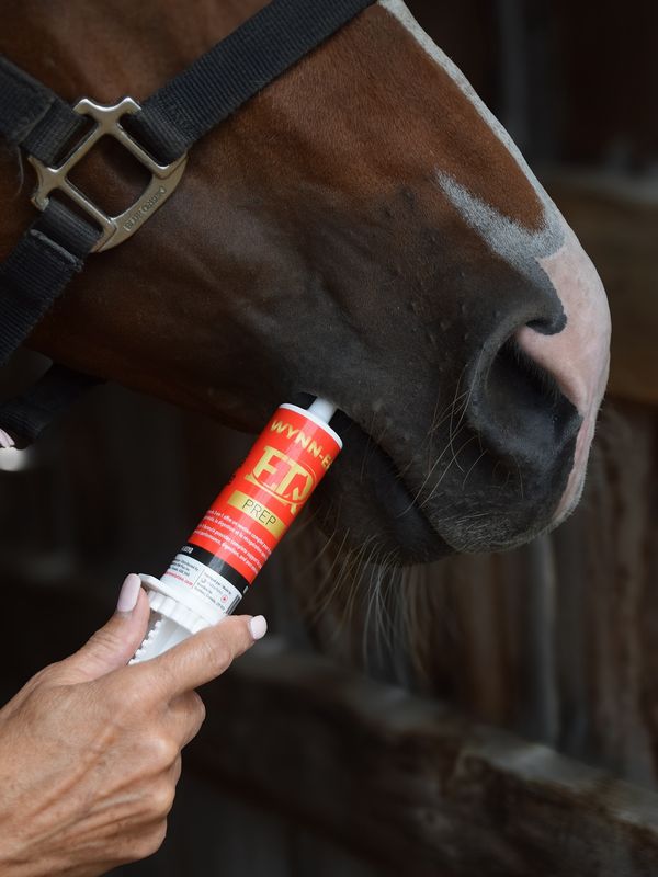 EQUINE REVOLUTION - Prep Wynn-Er