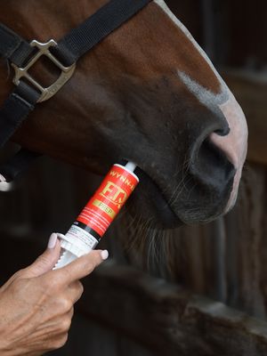 EQUINE REVOLUTION - Prep Wynn-Er