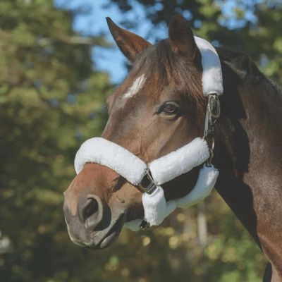 SHIRES - SupaFleece 6 Piece Halter Set White