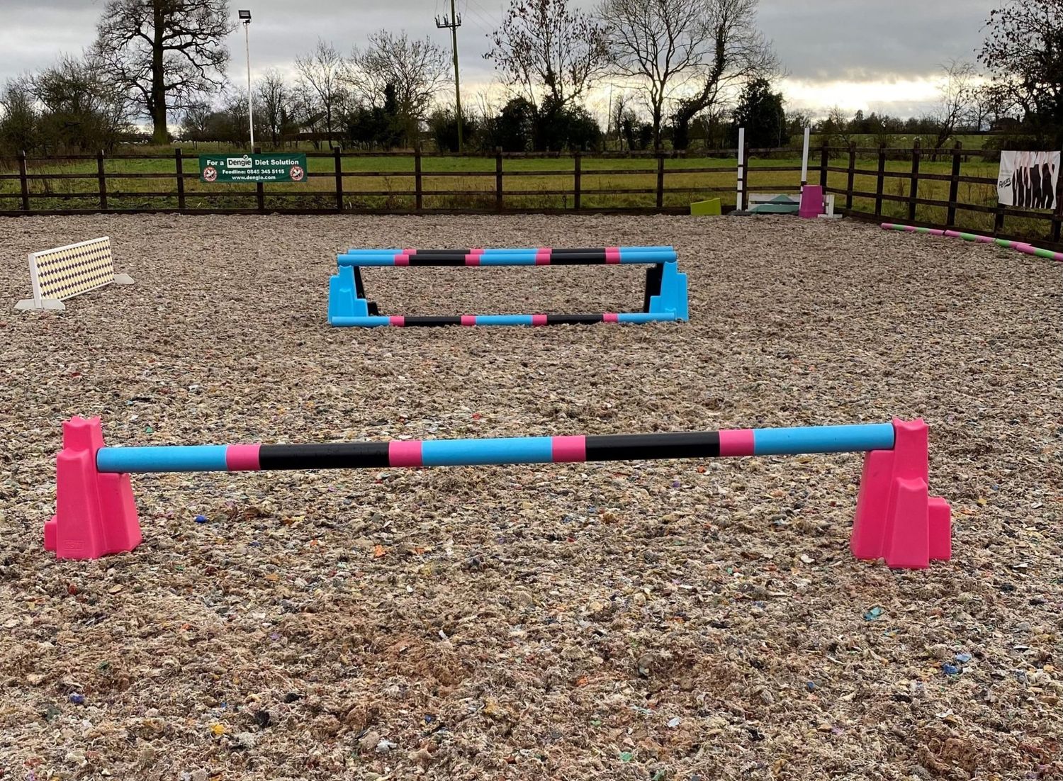 CENTURION - Cavaletti Cones (pair)