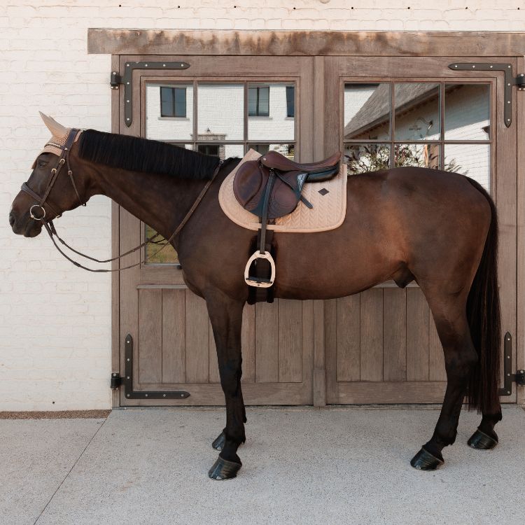 KENTUCKY HORSEWEAR - Saddle Pad Jumper Velvet Mini Pearls Beige