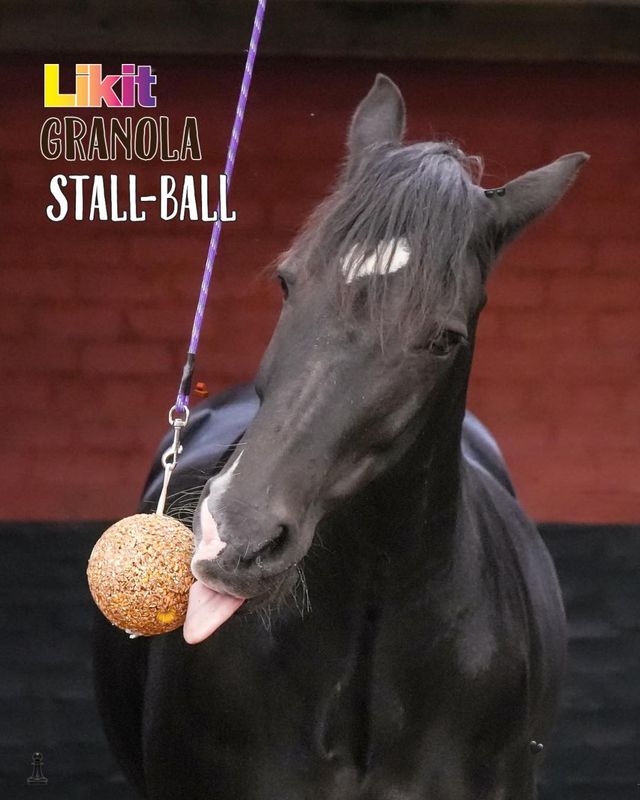 LIKIT - Granola &amp; Molasses Stall Ball