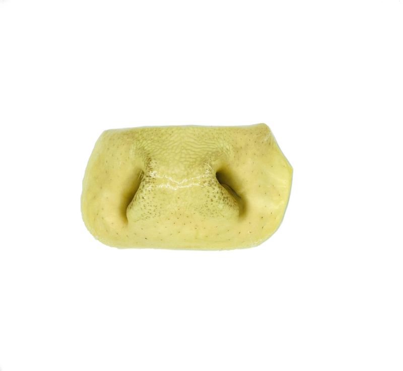 NATURE&#39;S OWN DOG CHEWS - Moo Snout